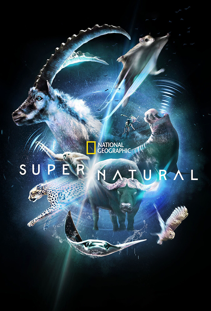 Poster de la serie Super/Natural