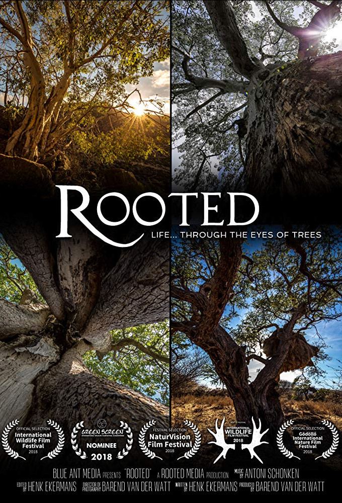 Poster de la serie Le monde des arbres