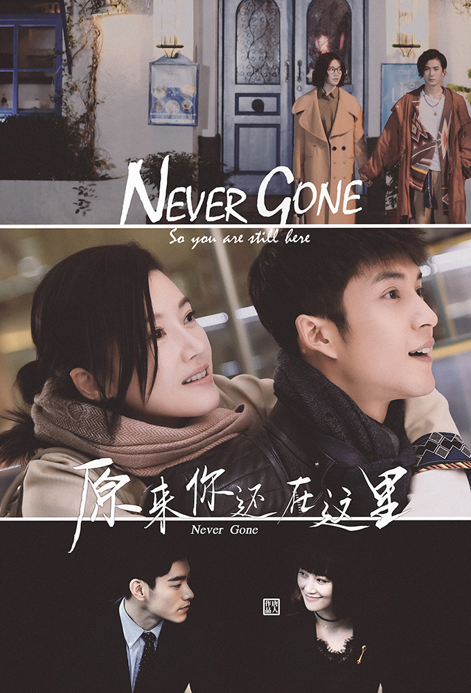 Poster de la serie Never Gone