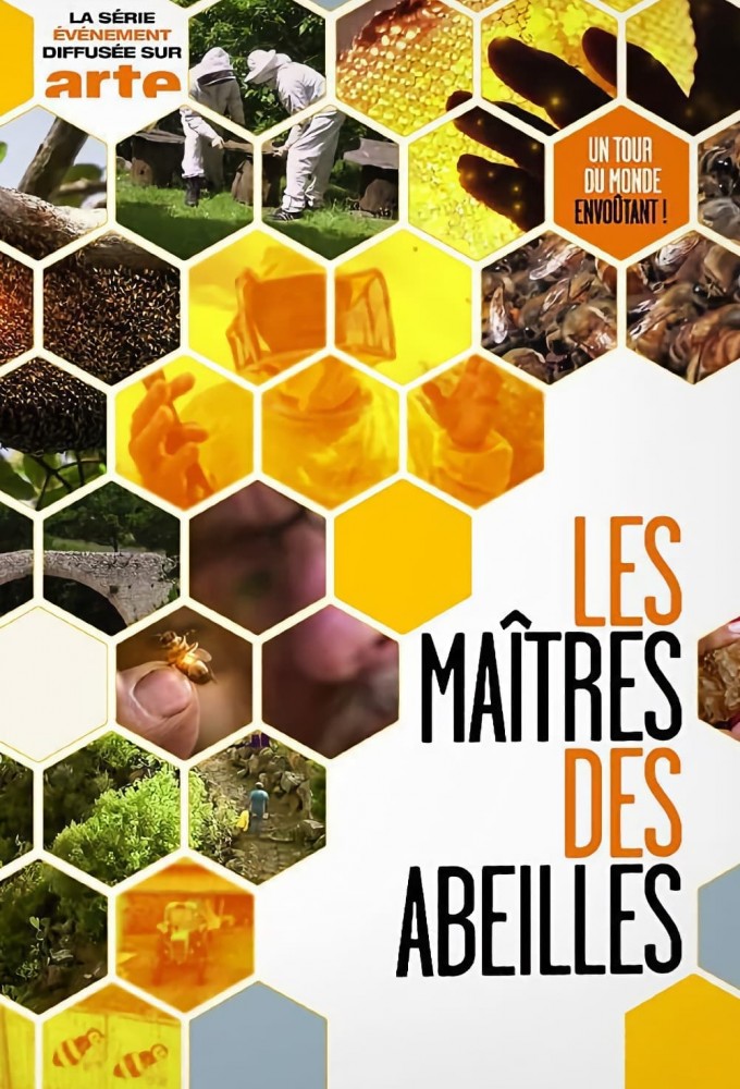 Poster de la serie Les maîtres des abeilles