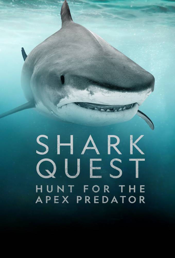Poster de la serie Shark Quest: Hunt for the Apex Predator