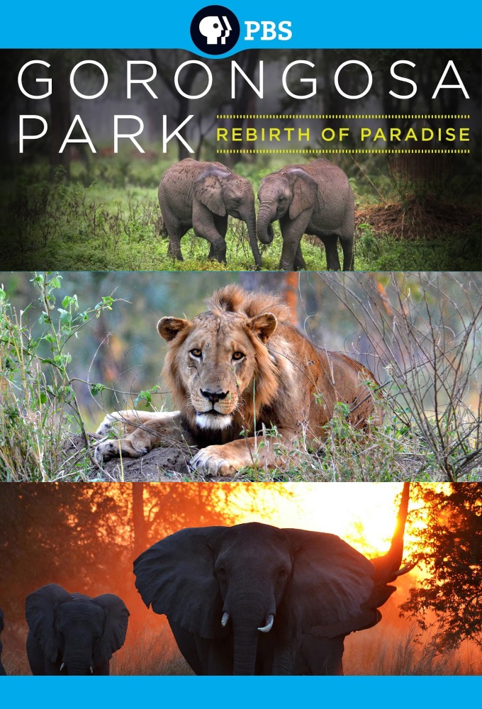 Poster de la serie Gorongosa Park: Rebirth of Paradise