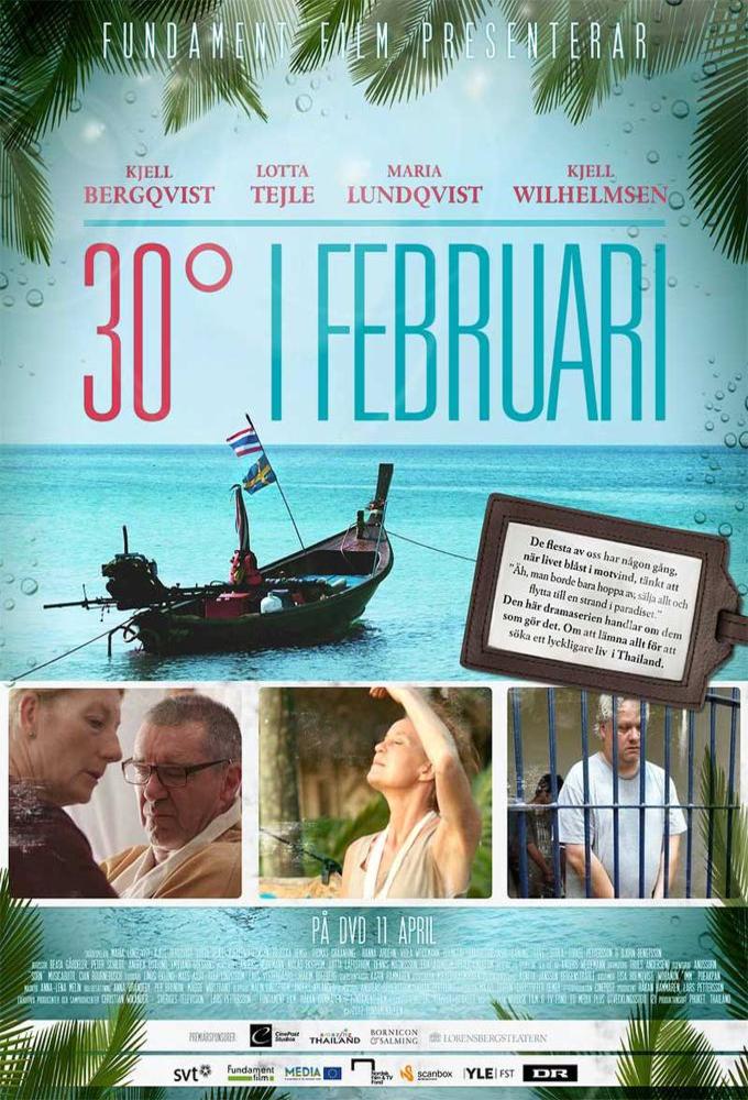 Poster de la serie 30 Degrees In February