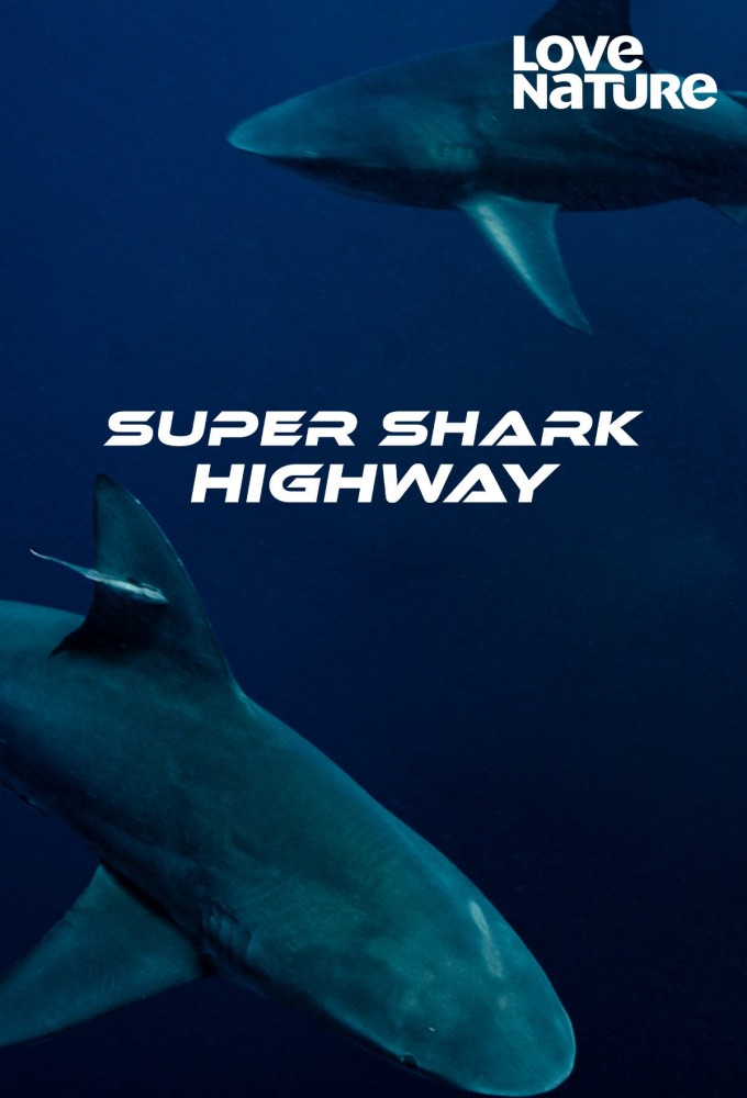 Poster de la serie Super Shark Highway