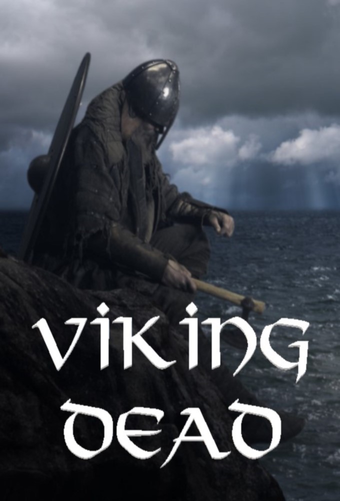 Poster de la serie Viking Dead