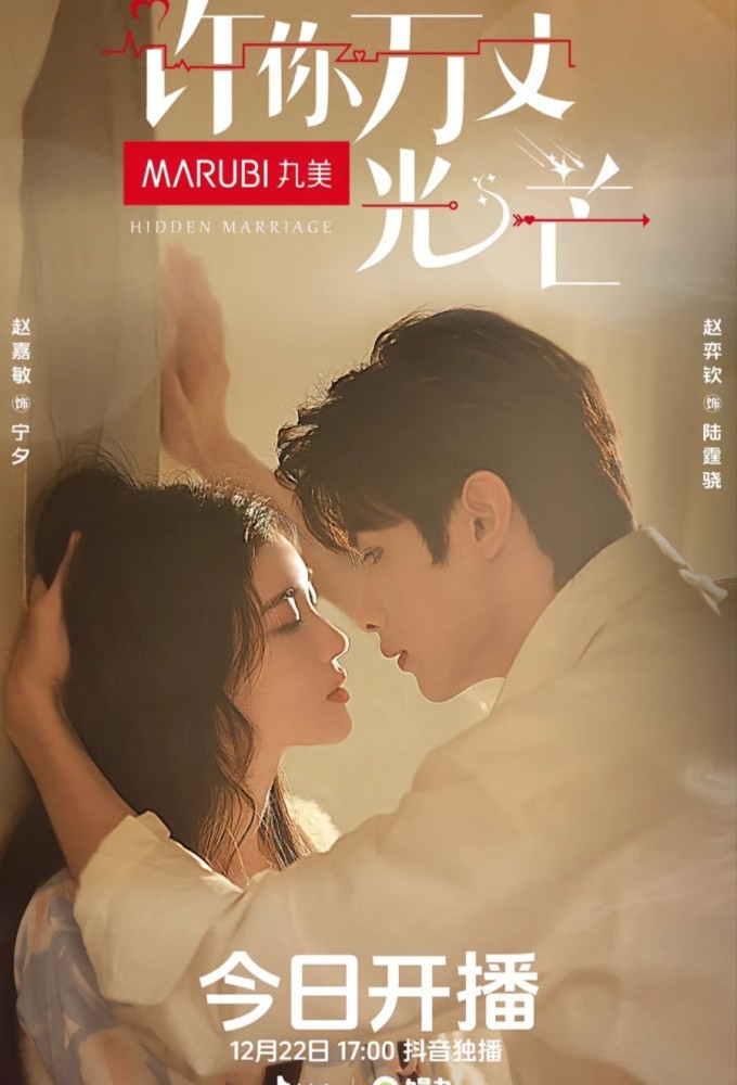 Poster de la serie Hidden marriage