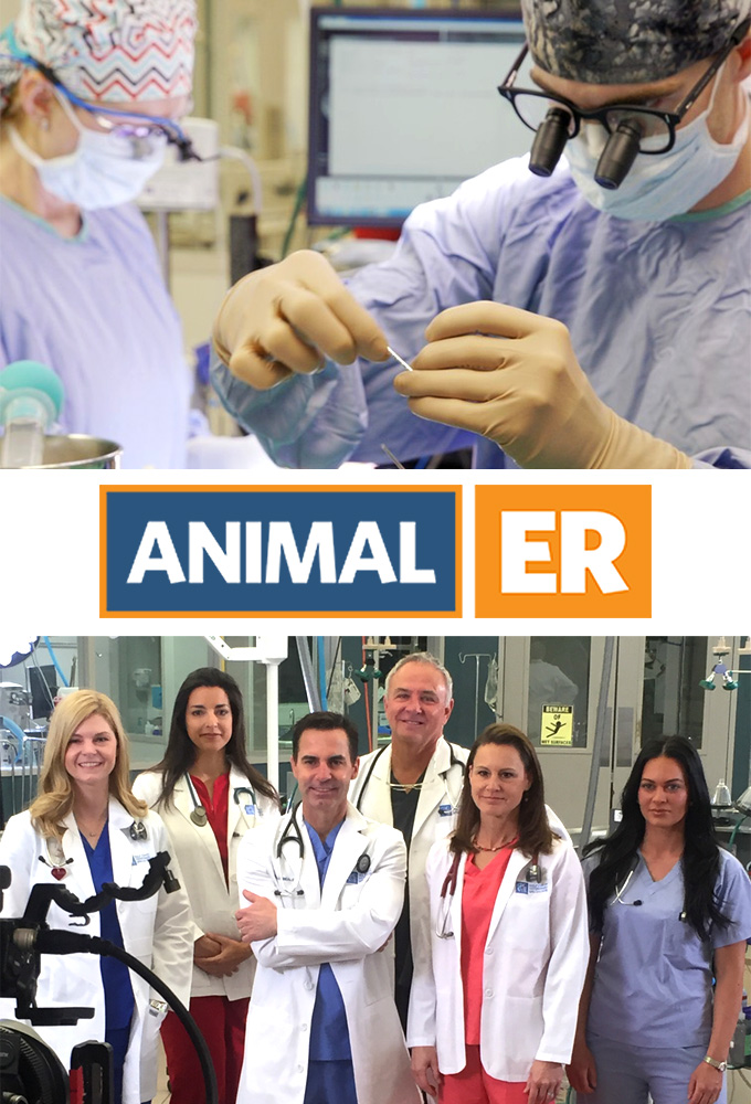 Poster de la serie Urgences Animales