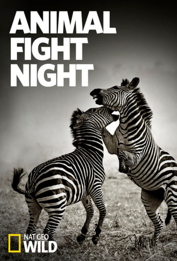 Watch Animal Fight Night tv series streaming online 