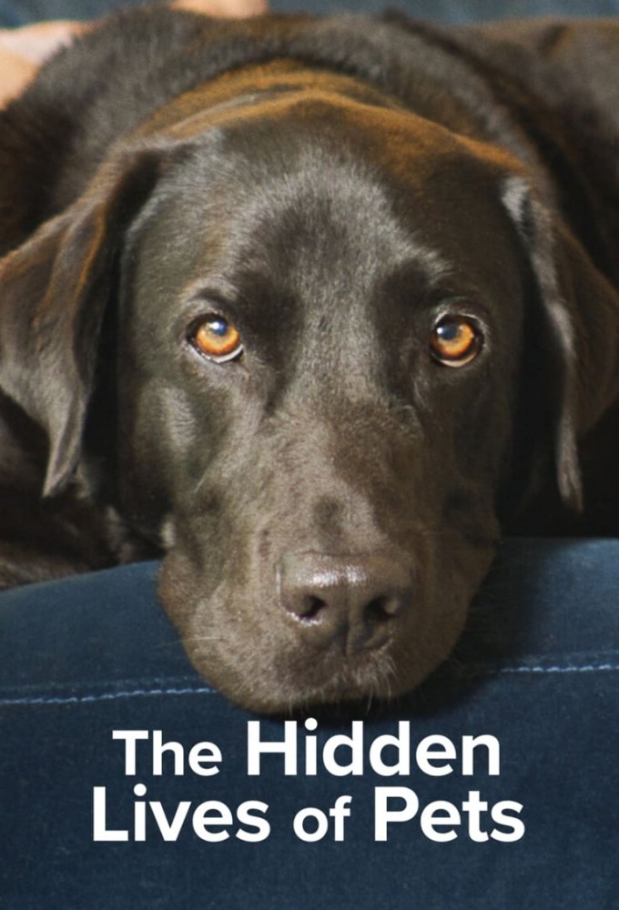 Poster de la serie The Hidden Lives of Pets