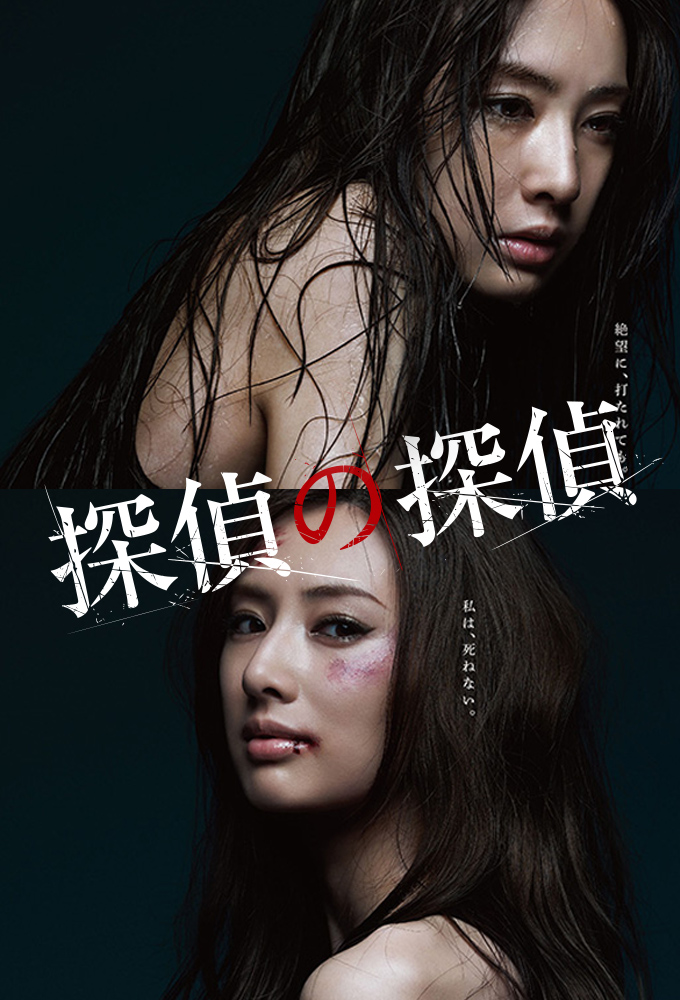 Poster de la serie Detective versus Detectives