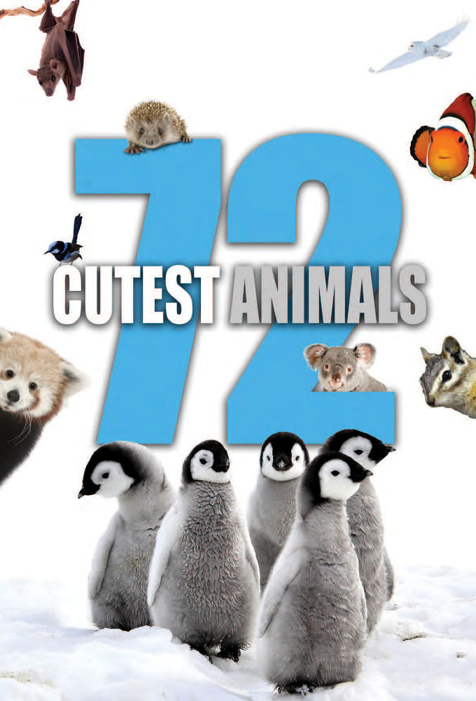 Poster de la serie 72 Cutest Animals