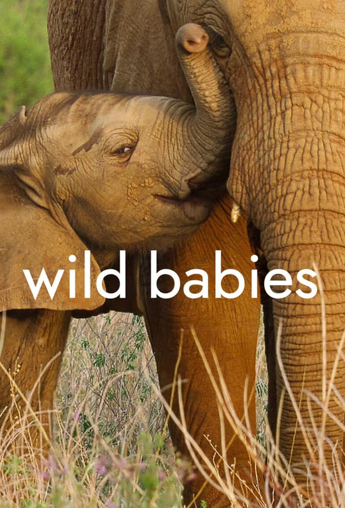 Poster de la serie Wild Babies : Petits et sauvages