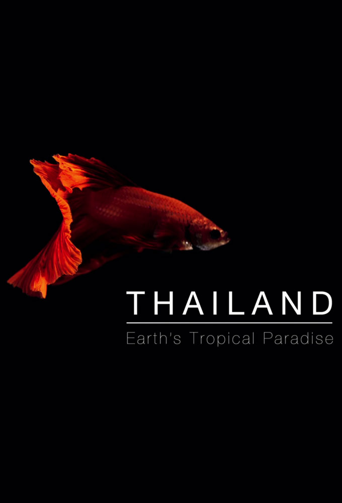 Poster de la serie Tailandia: El Paraiso Tropical de la Tierra