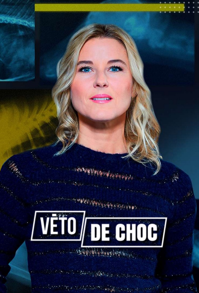 Poster de la serie Véto de choc