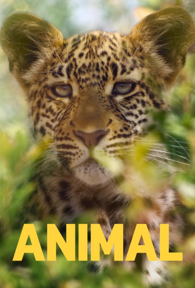 Poster de la serie Animal