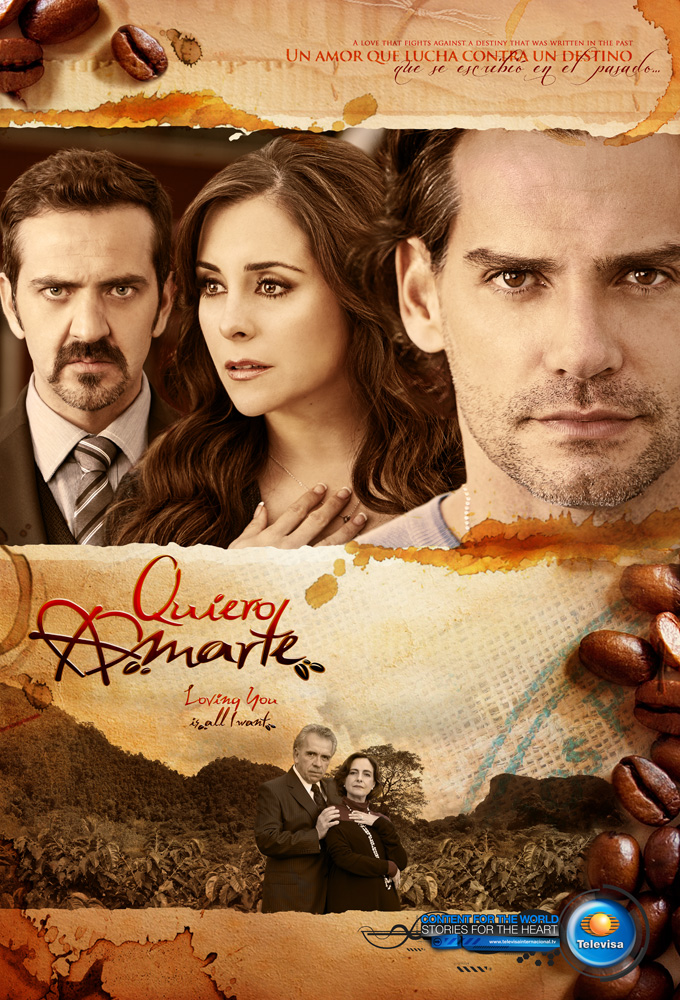 Poster de la serie Quiero amarte