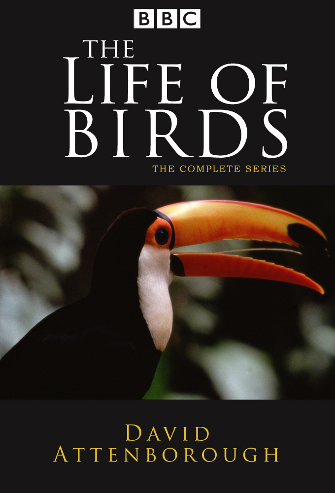 Poster de la serie The Life of Birds