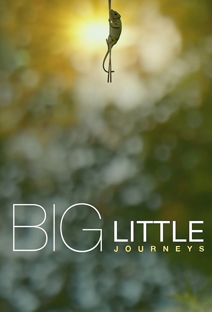 Poster de la serie Big Little Journeys