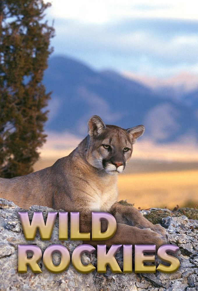 Poster de la serie Wild Rockies