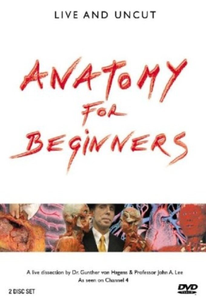 Poster de la serie Anatomy for Beginners