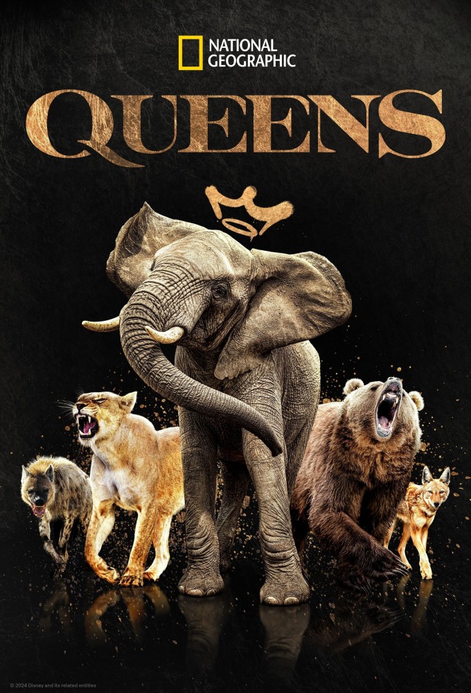 Poster de la serie Queens (2024)