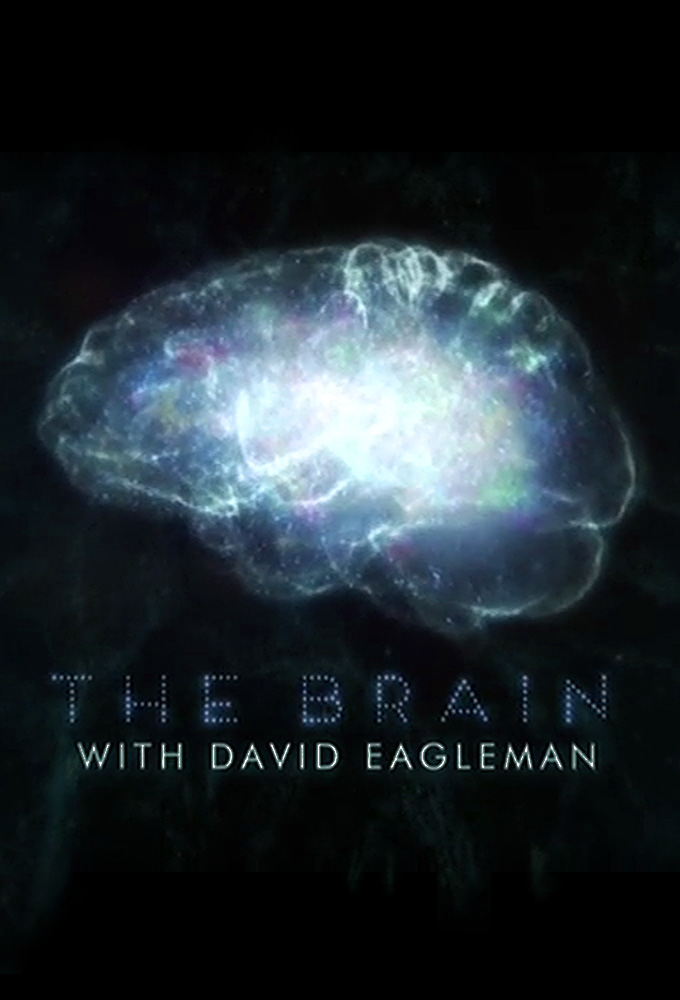 Poster de la serie The Brain with David Eagleman