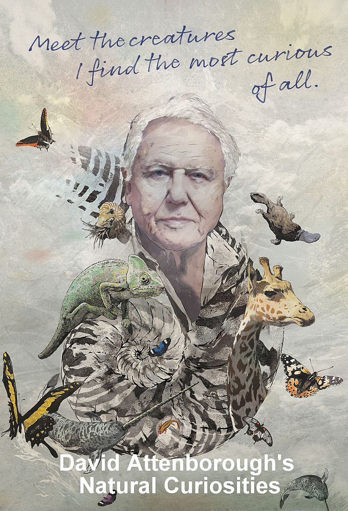 Poster de la serie David Attenborough's Natural Curiosities