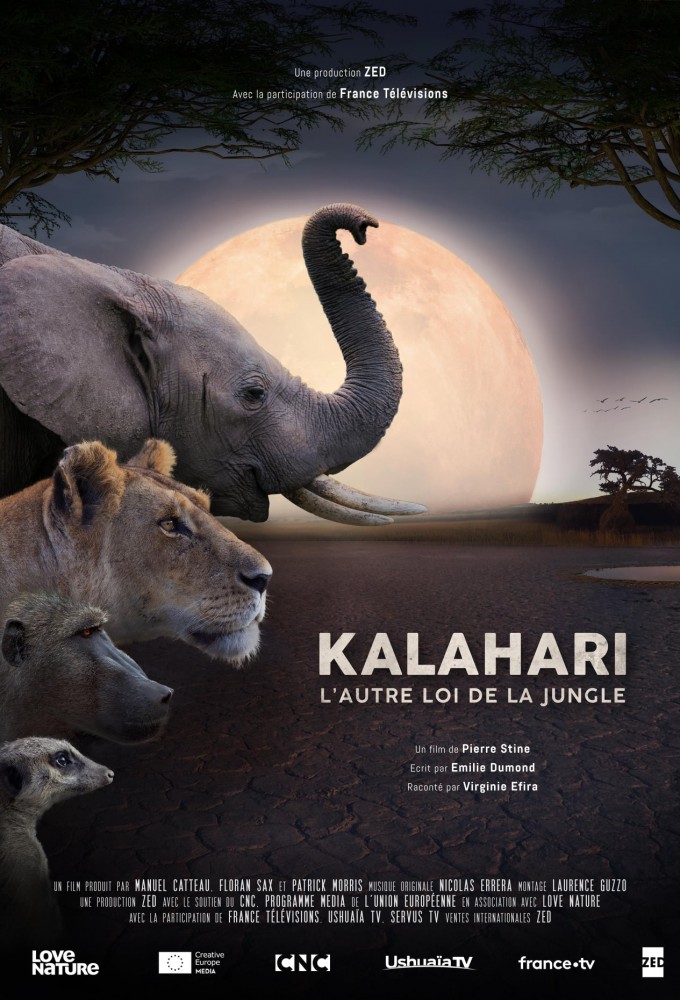 Poster de la serie Kalahari, l'autre loi de la jungle