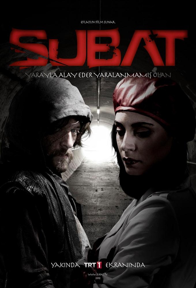 Poster de la serie Şubat