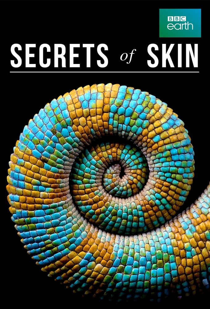 Poster de la serie Secrets of Skin