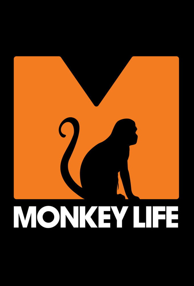 Poster de la serie Monkey Life