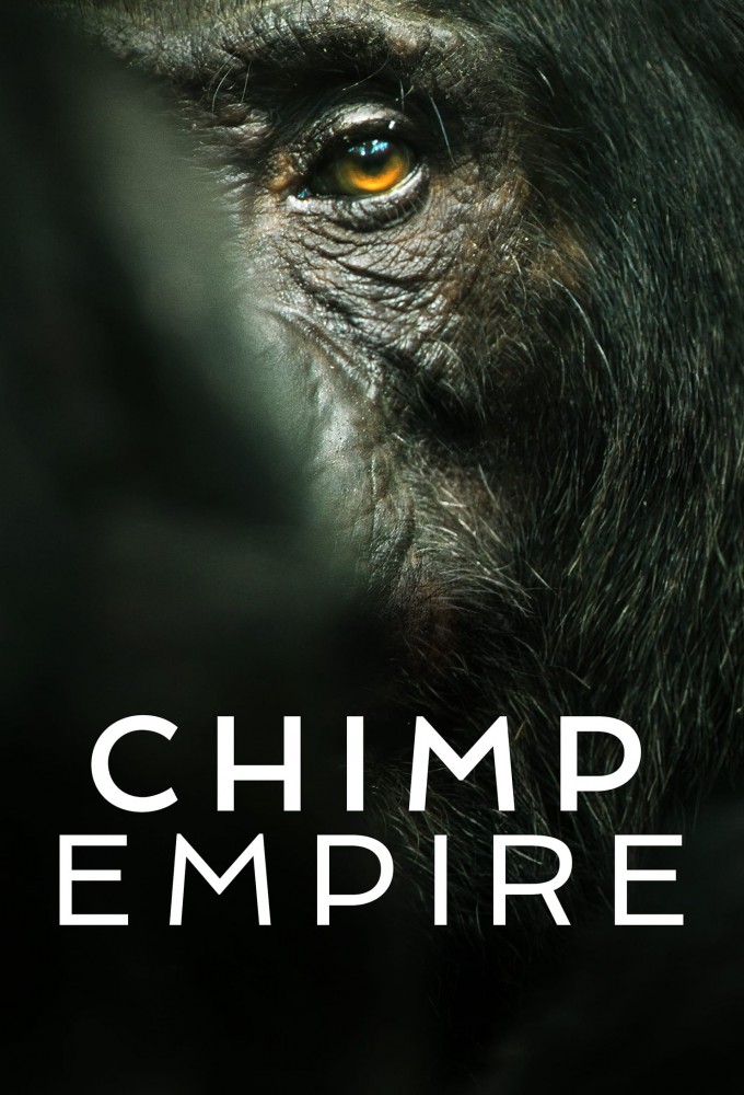 Poster de la serie L'Empire des chimpanzés