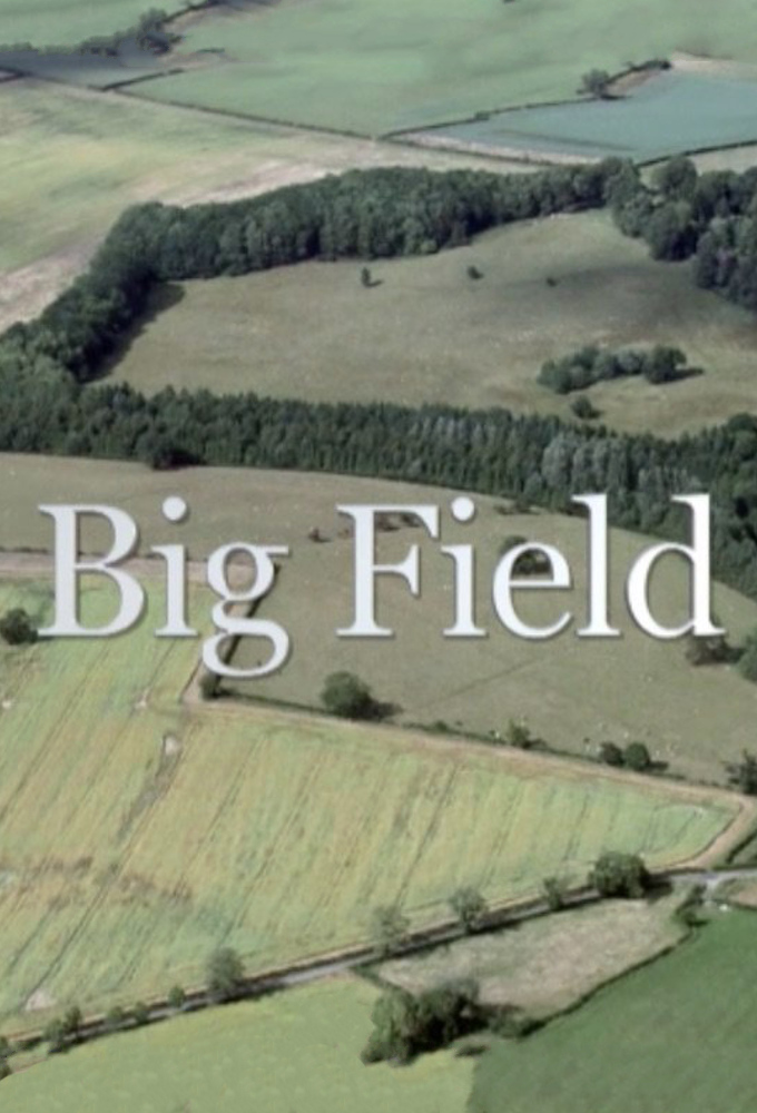 Poster de la serie Big Field