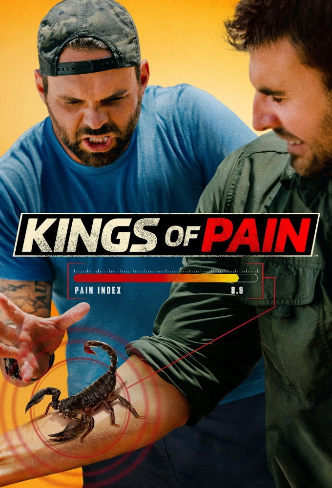 Poster de la serie Kings of Pain