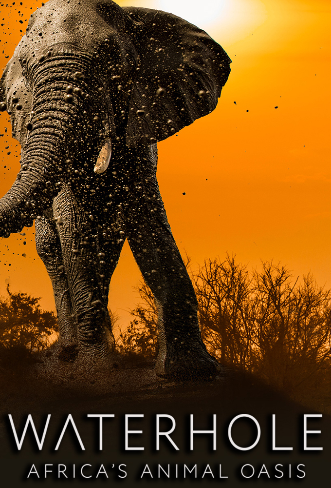 Poster de la serie Waterhole: Africa's Animal Oasis