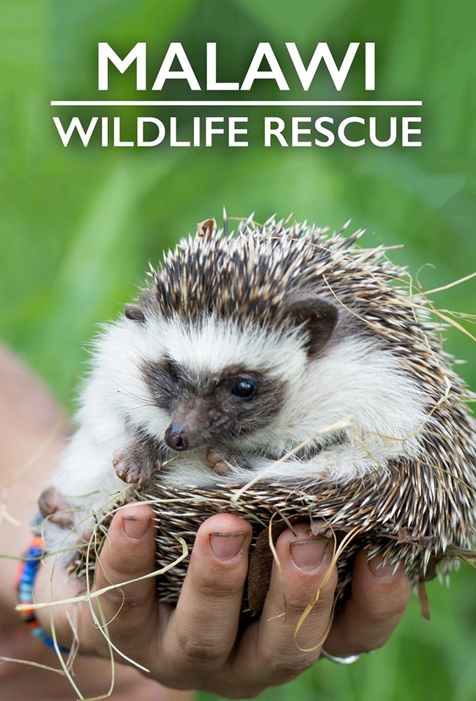 Poster de la serie Malawi Wildlife Rescue