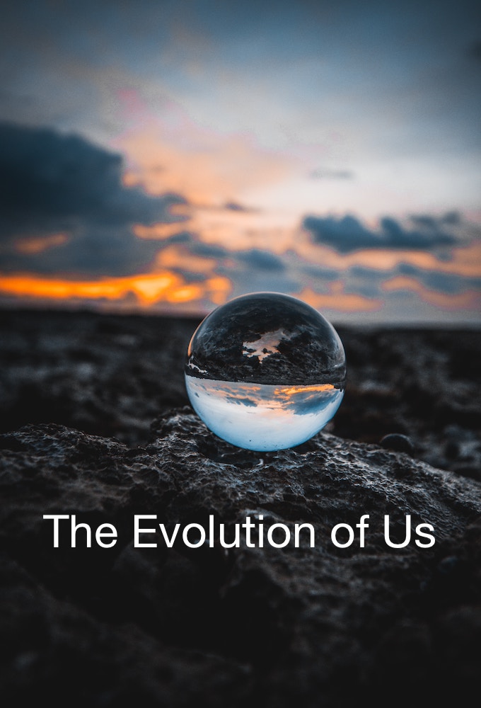 Poster de la serie The Evolution of Us