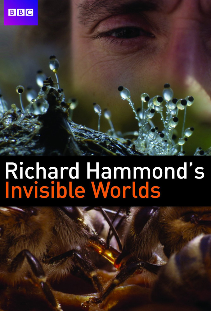 Poster de la serie Richard Hammond's Invisible Worlds