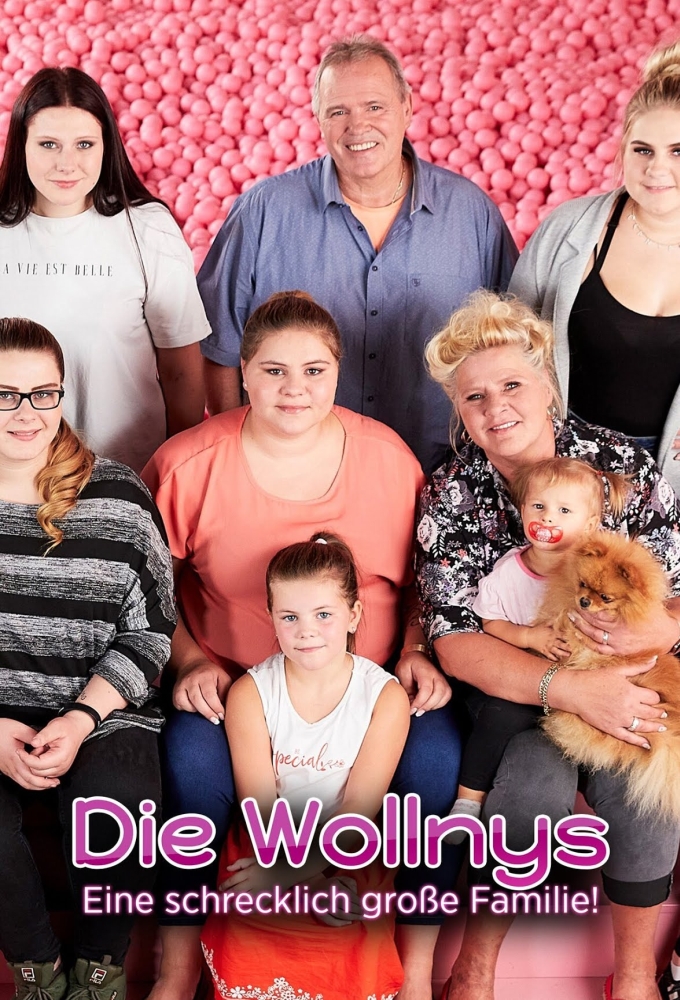 Poster de la serie Die Wollnys – Eine schrecklich große Familie!