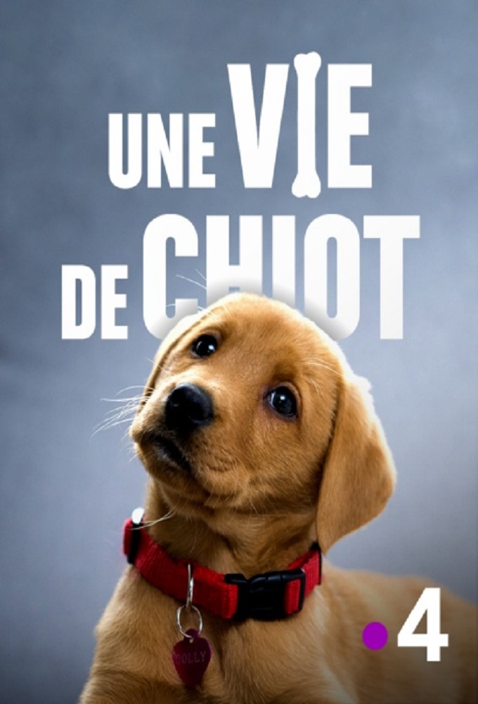 Poster de la serie Une vie de chiot