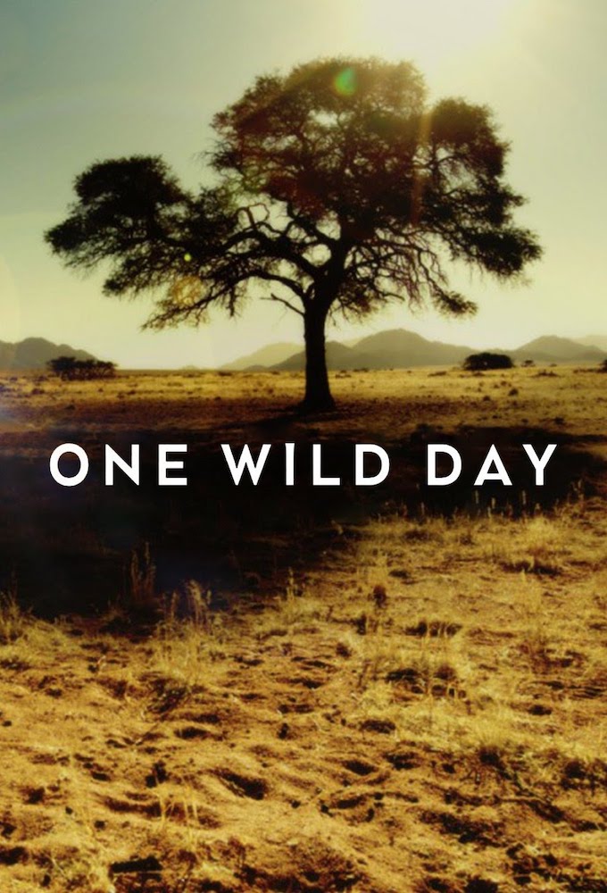 Poster de la serie One Wild Day