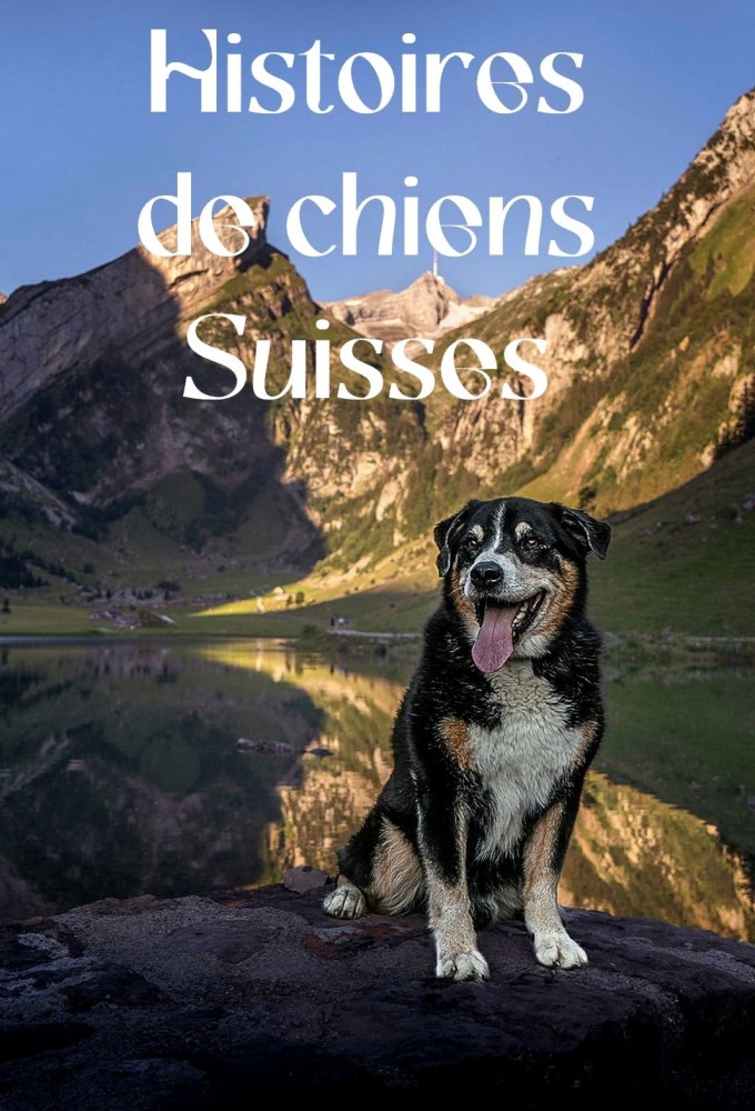 Poster de la serie Histoires de chiens suisses