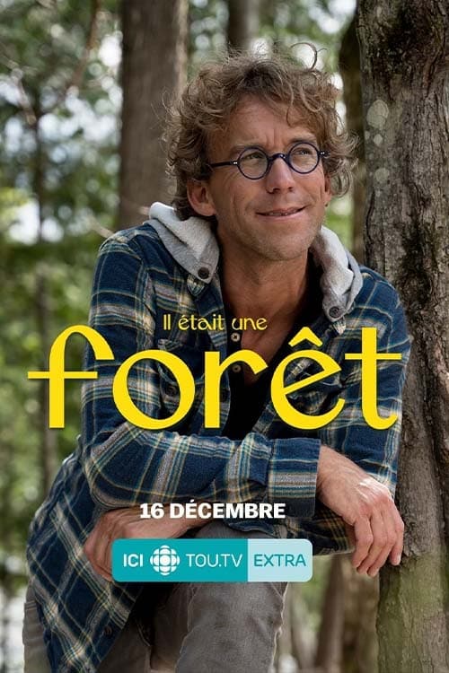 Poster de la serie Il était une forêt