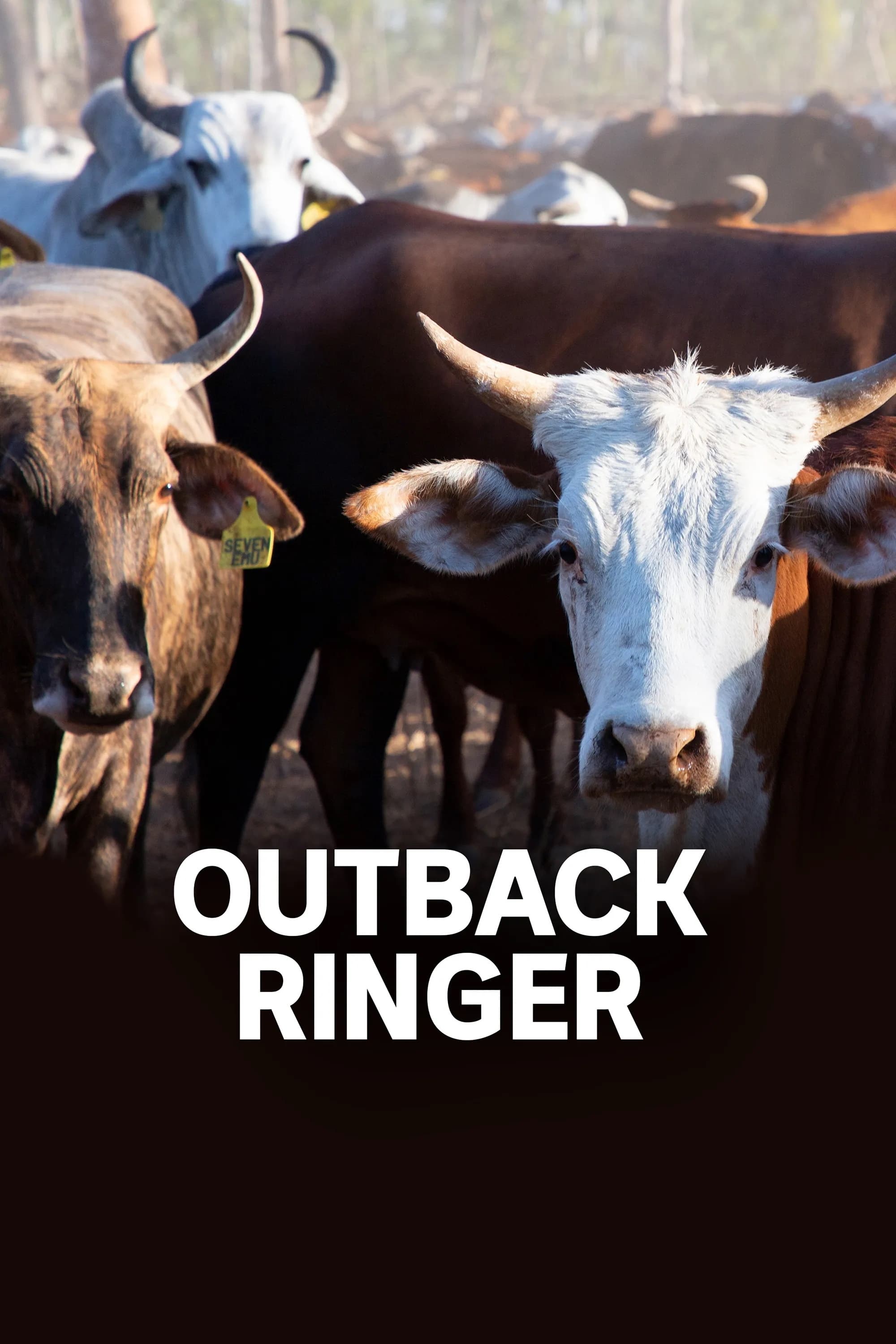 Poster de la serie Outback Ringer