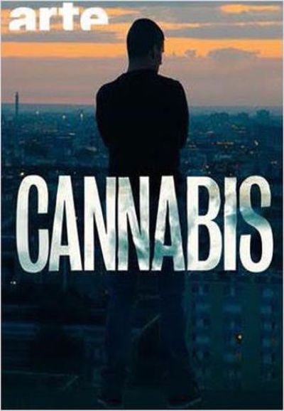 Cannabis saison 1