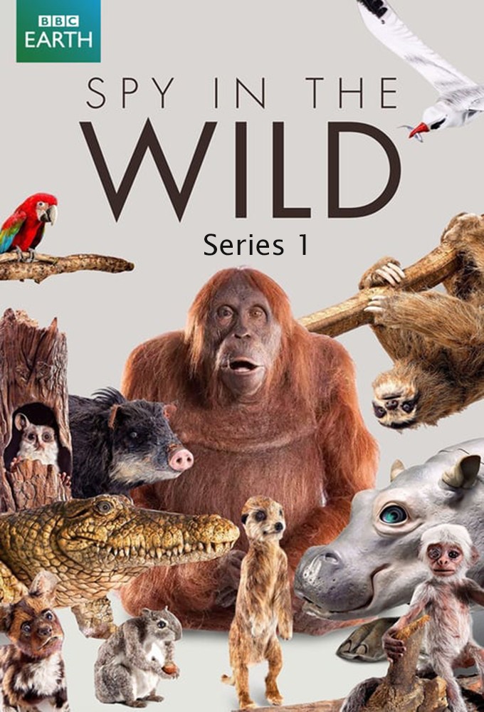 Spy in the Wild saison 1