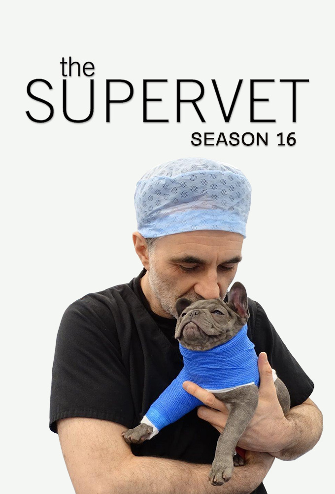 Super Vétérinaire saison 16