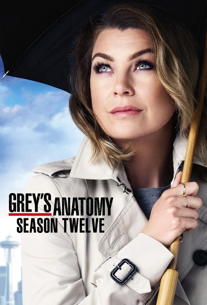 Grey's Anatomy saison 12