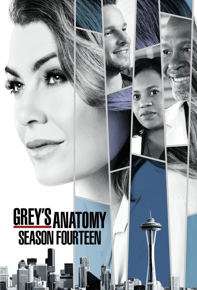 Grey's Anatomy saison 14