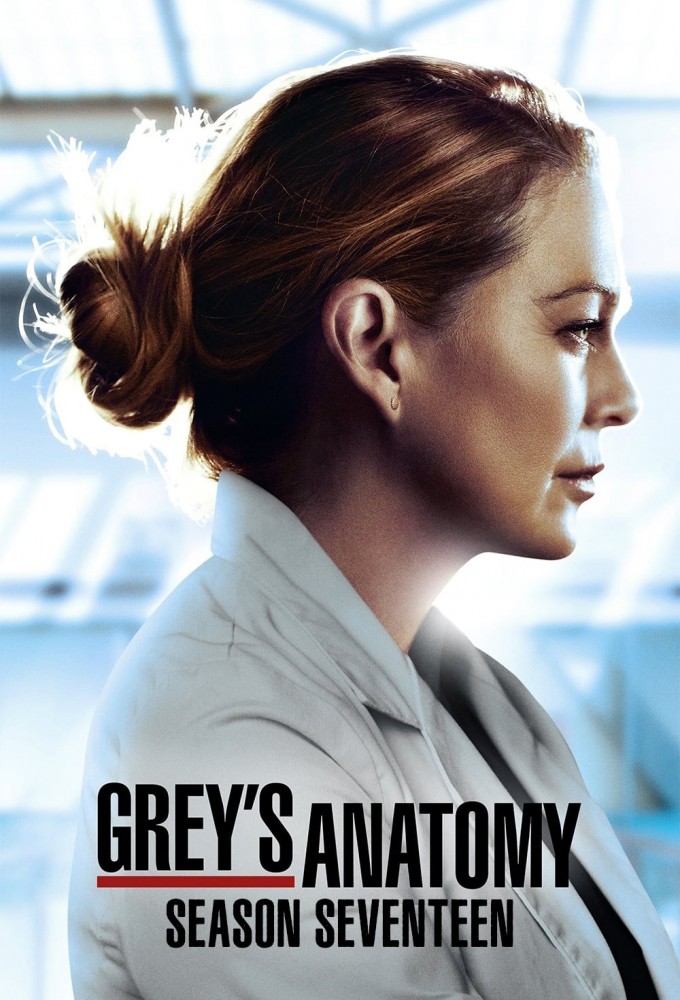 Grey's Anatomy saison 17